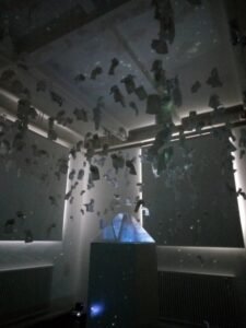 « Inner Pangea », Œuvre de Galaxia Wang présentée la 5ème édition des Prix « New Heads- Fondation Molivaplus Art Awards ».
